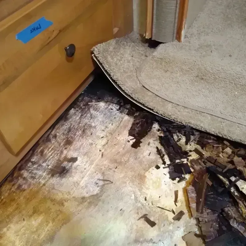 Best Wood Floor Water Damage Service in Armada, MI